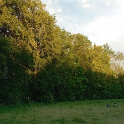 rundumadum